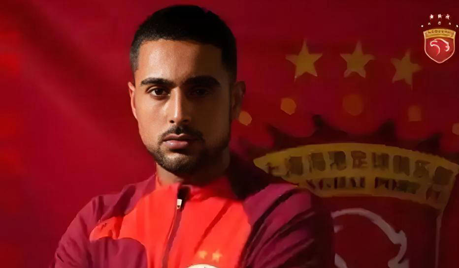 制定相应的 制定相应的